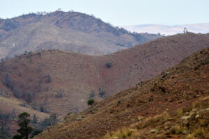 Views along Water Run Track - photo by Tim Froling (c)