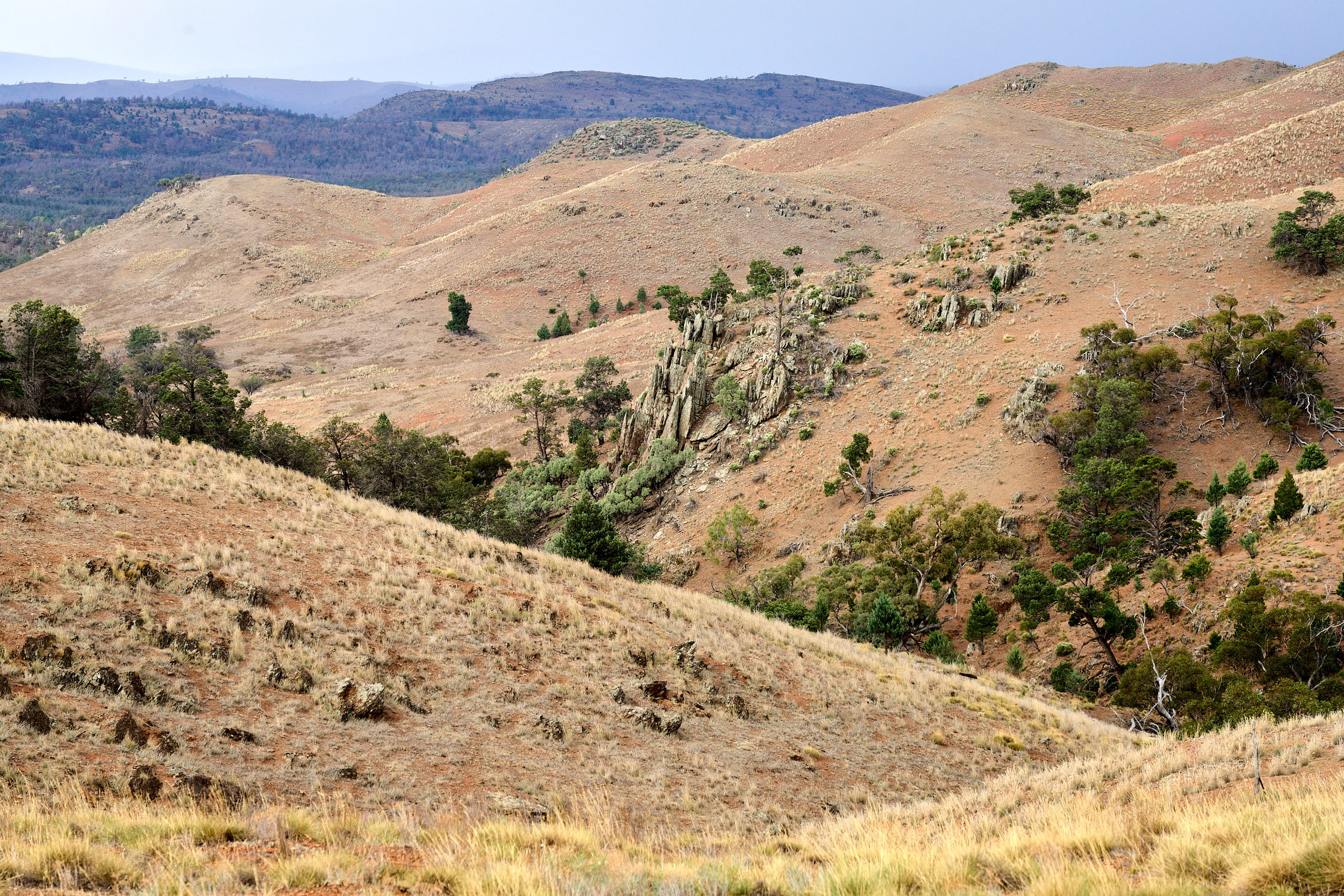 Views from Water Run Track - photo by Tim Froling (c)